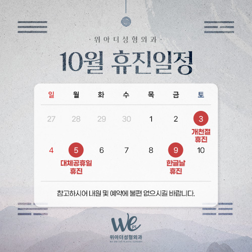 진료일정